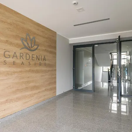 Morsky Gardenia