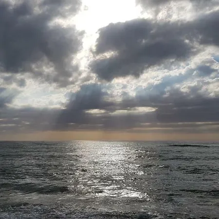 Morsky Gardenia Dziwnów