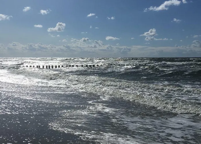 Apartamento Morsky Gardenia