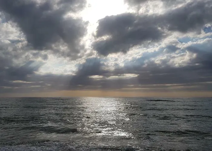 Morsky Gardenia Dziwnów